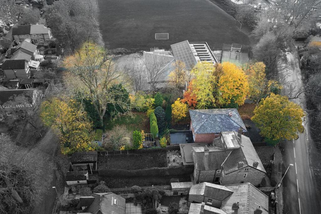 Brightness_Contrast 1-06.jpg