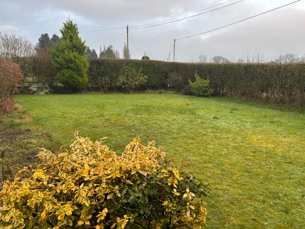 Front garden