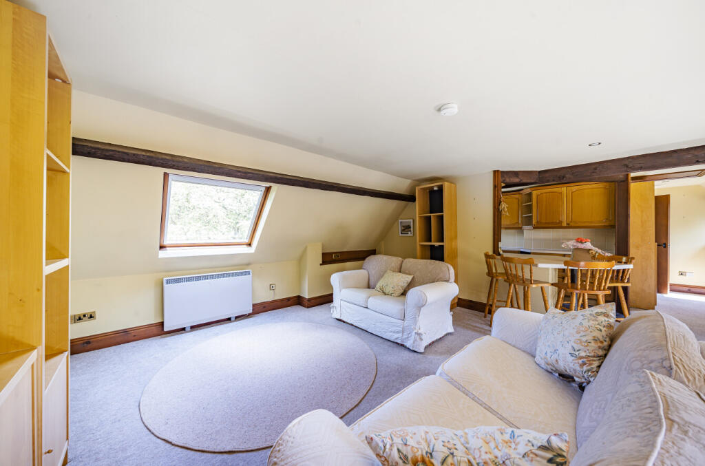 Living Room  / Kitchen