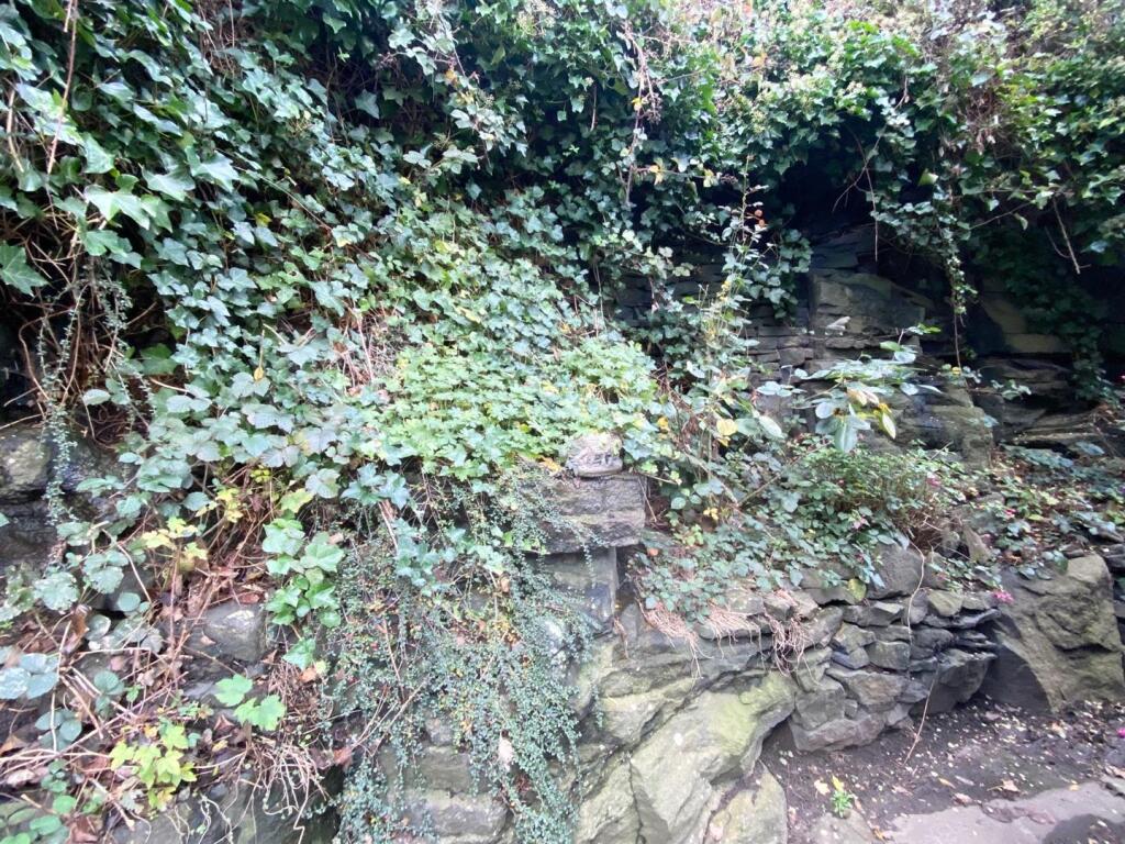 rear of property.jpg