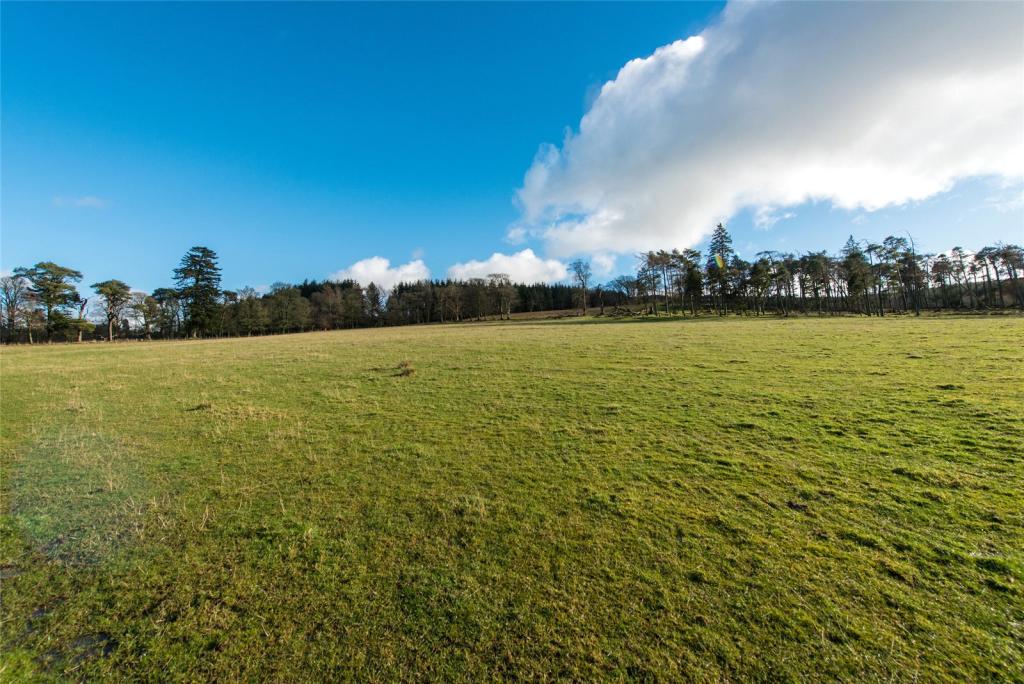 Lot 2 - Pasture