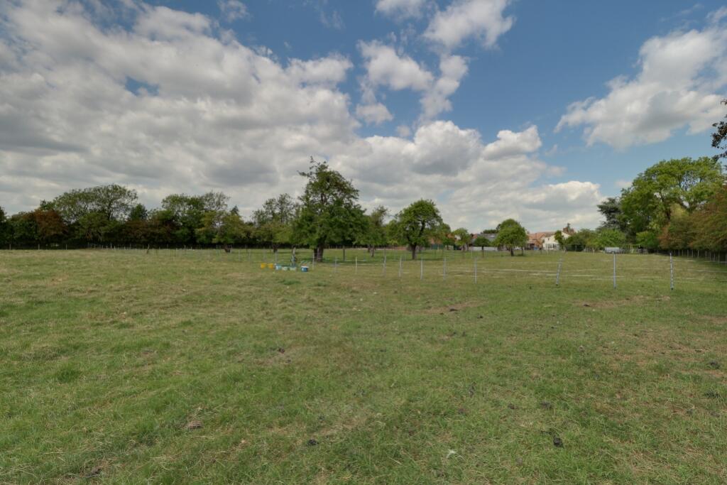 Orchard and Paddocks 