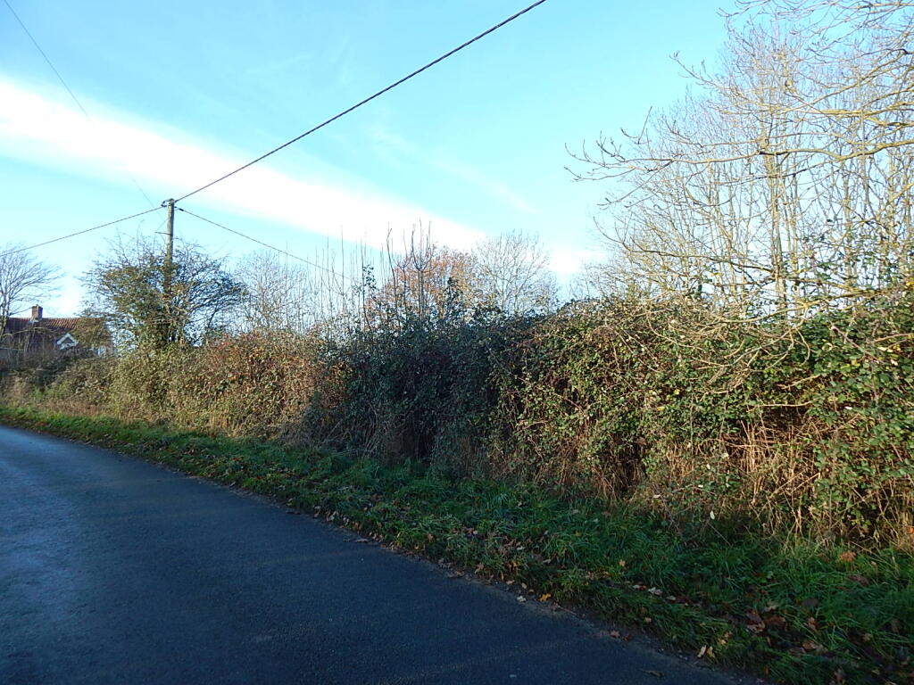 3 T202502241327.jpg