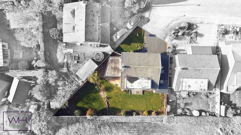 DJI_0202BW