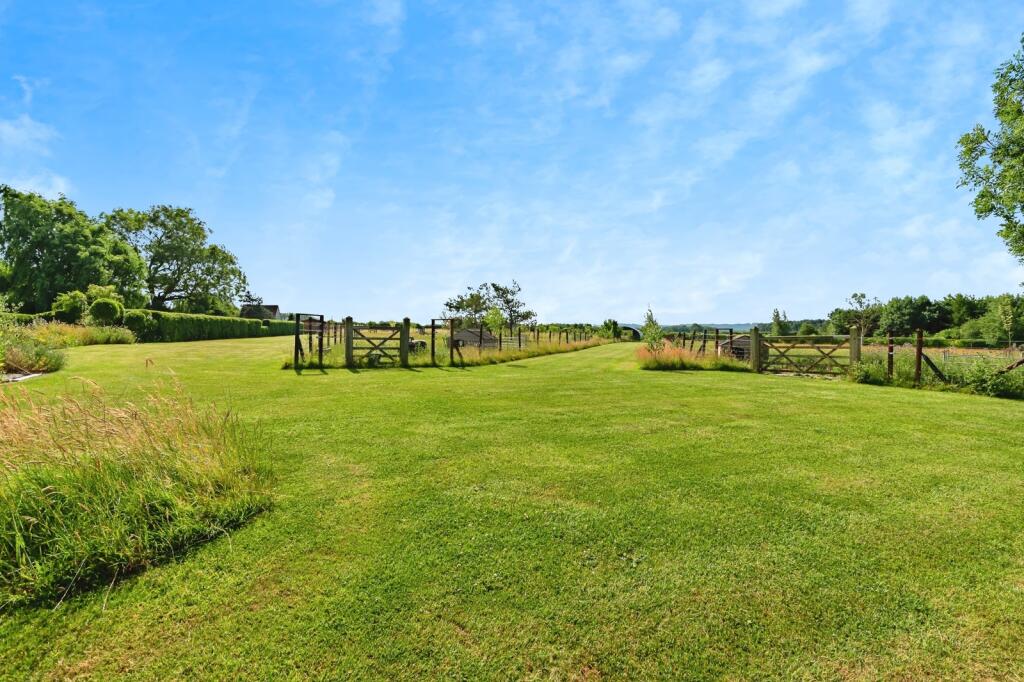 Land View
