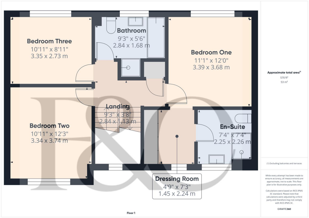 First Floor