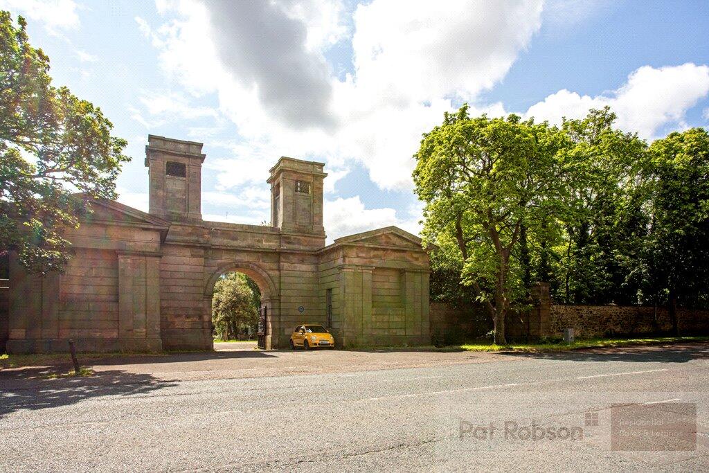 Picture 28