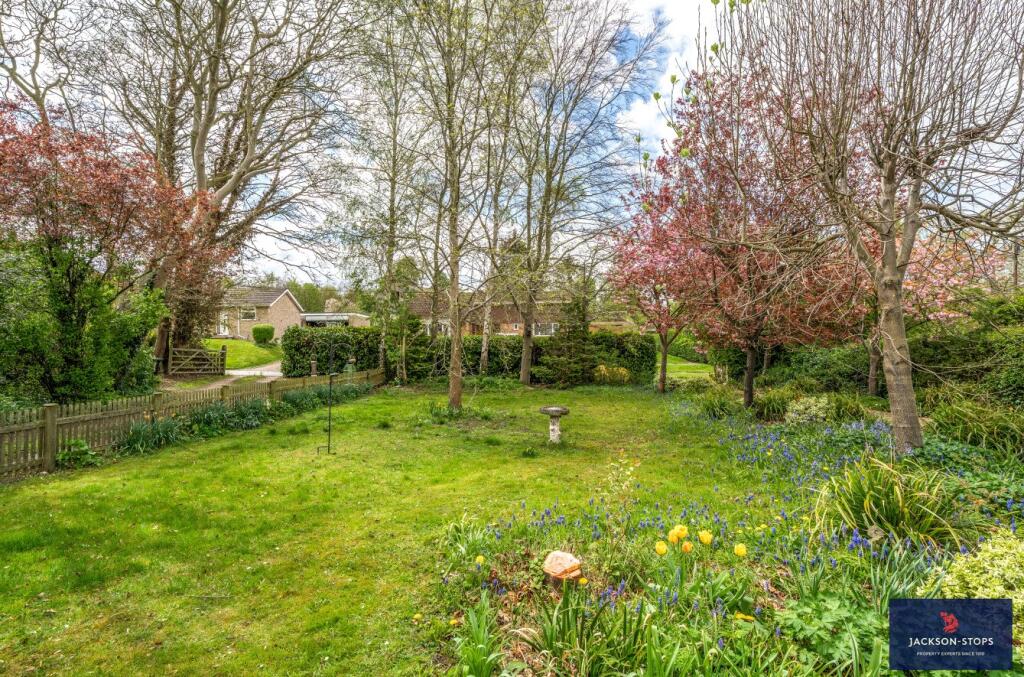Front Garden B