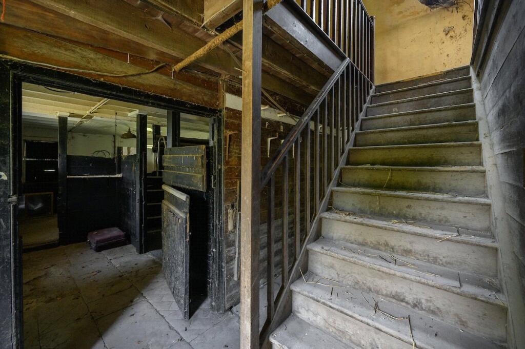 Stables