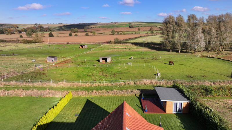 Open field views