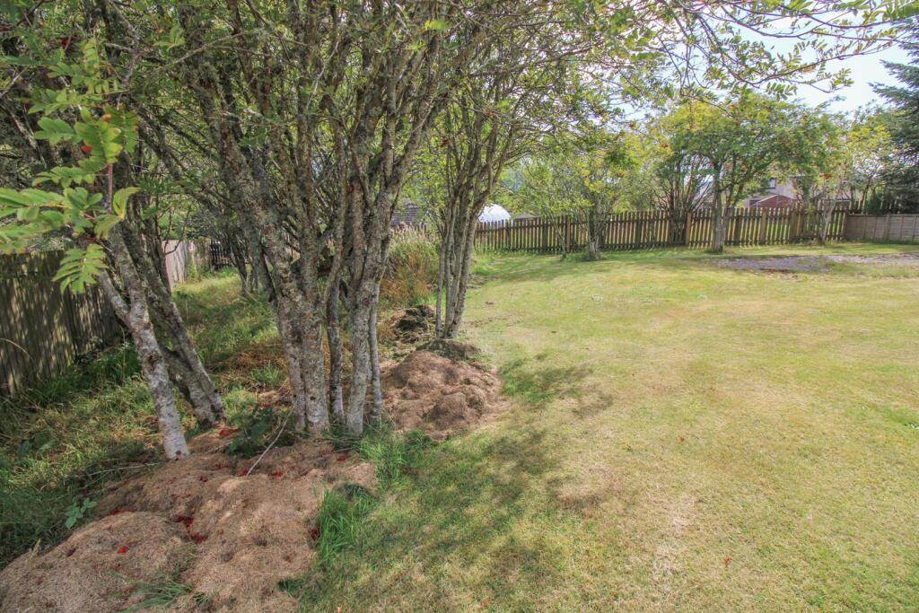 FRONT GARDEN.jpg