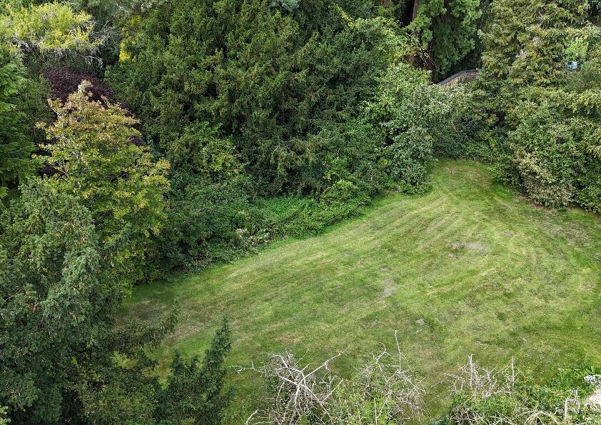 Garden drone