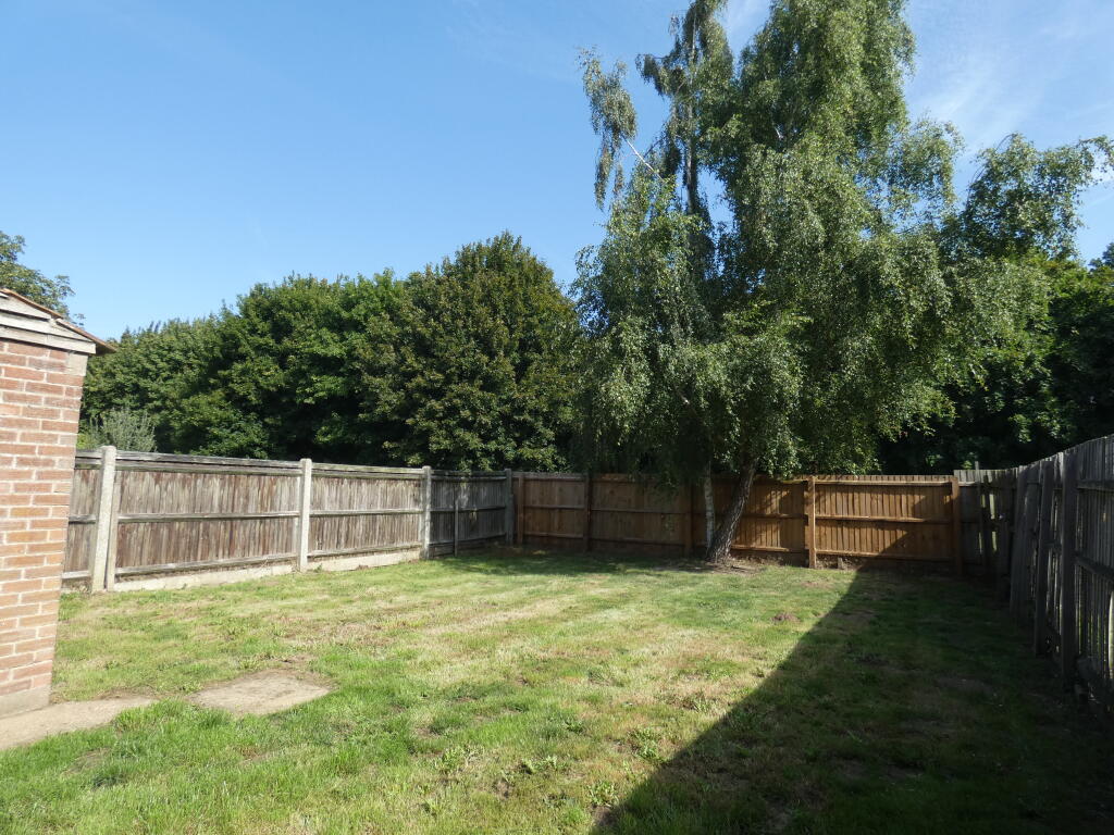 Pic 11 Garden (2).JPG