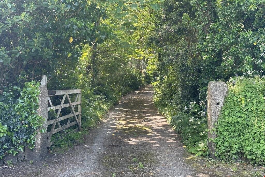 22f408a8-a5ea-40c5-9d30-8a4d45d843b0