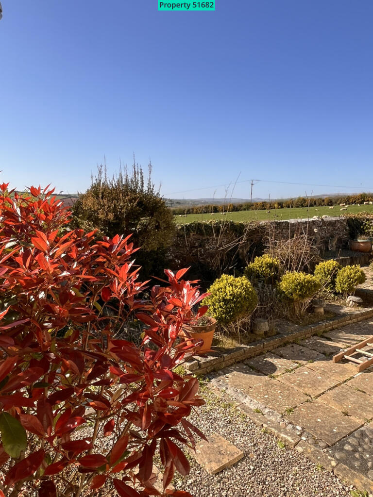View from Master Bedroom