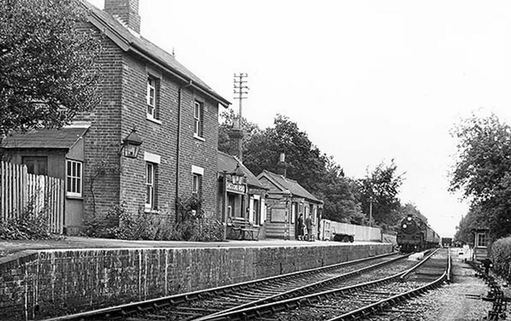 Back garden in about 1957