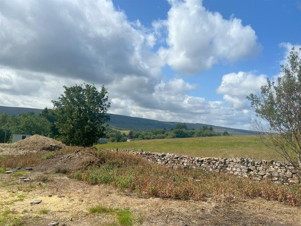 VIEW TO THE WEST