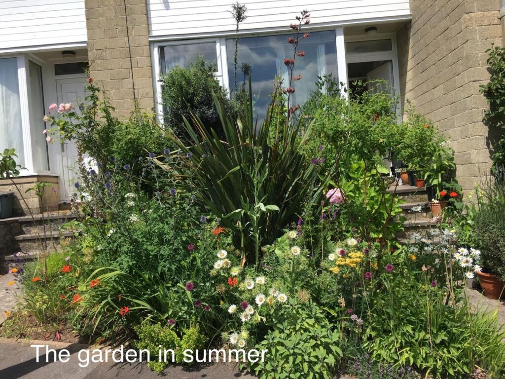 new front garden shot 5 claremont walk.jpg