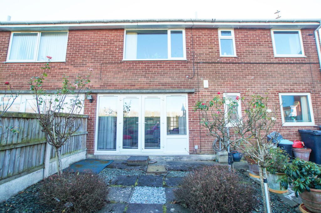 Rear of the Property