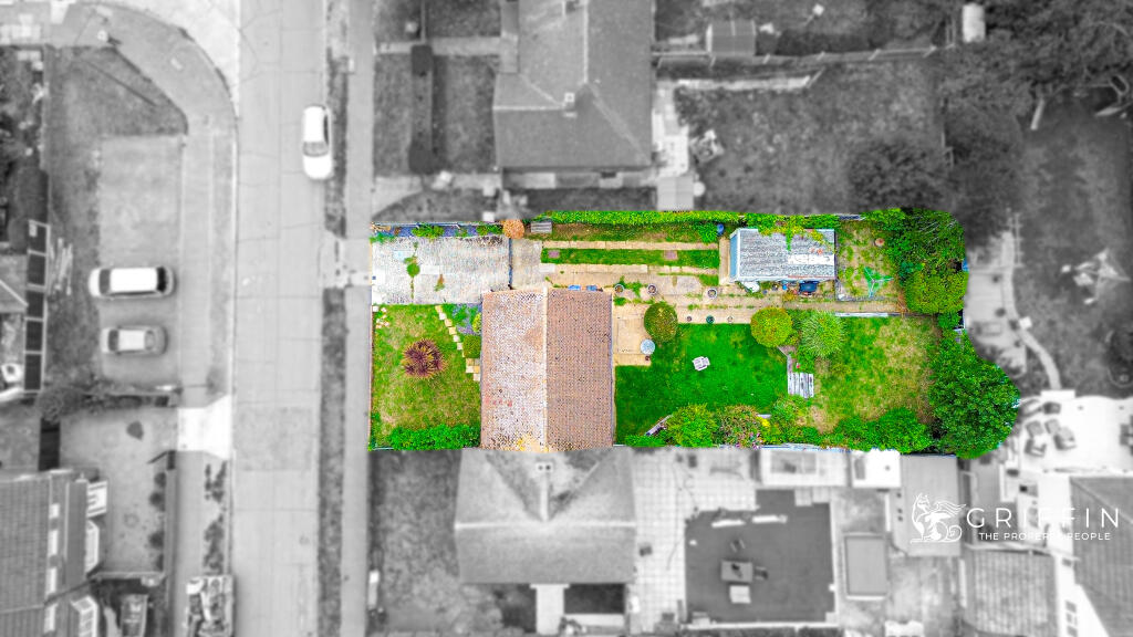 1dji0651