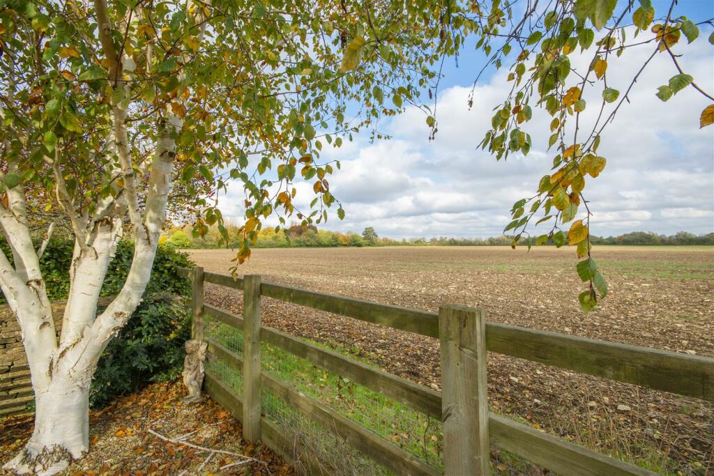 241024ArlingdonFields-1016.jpg