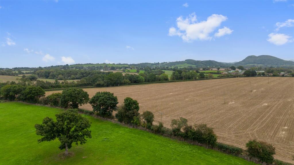 DJI_0198.jpg