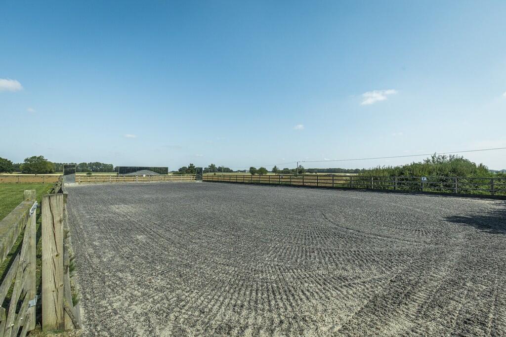 Springfield House...