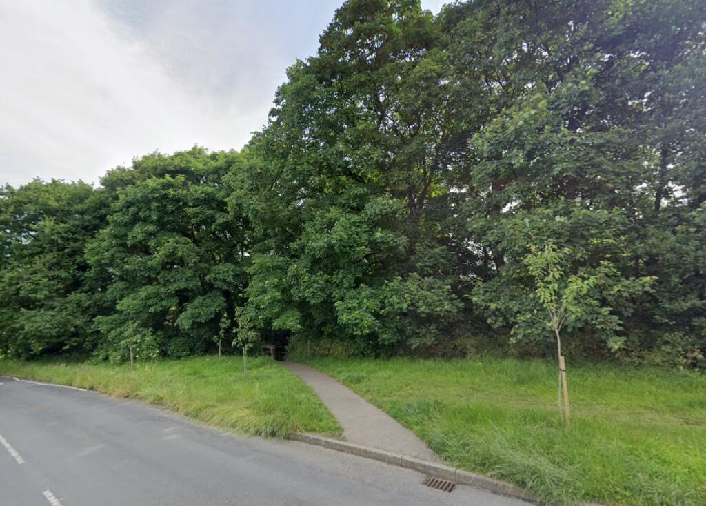 Street View T202502211443.jpg