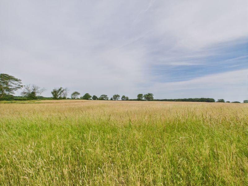 Rural Views