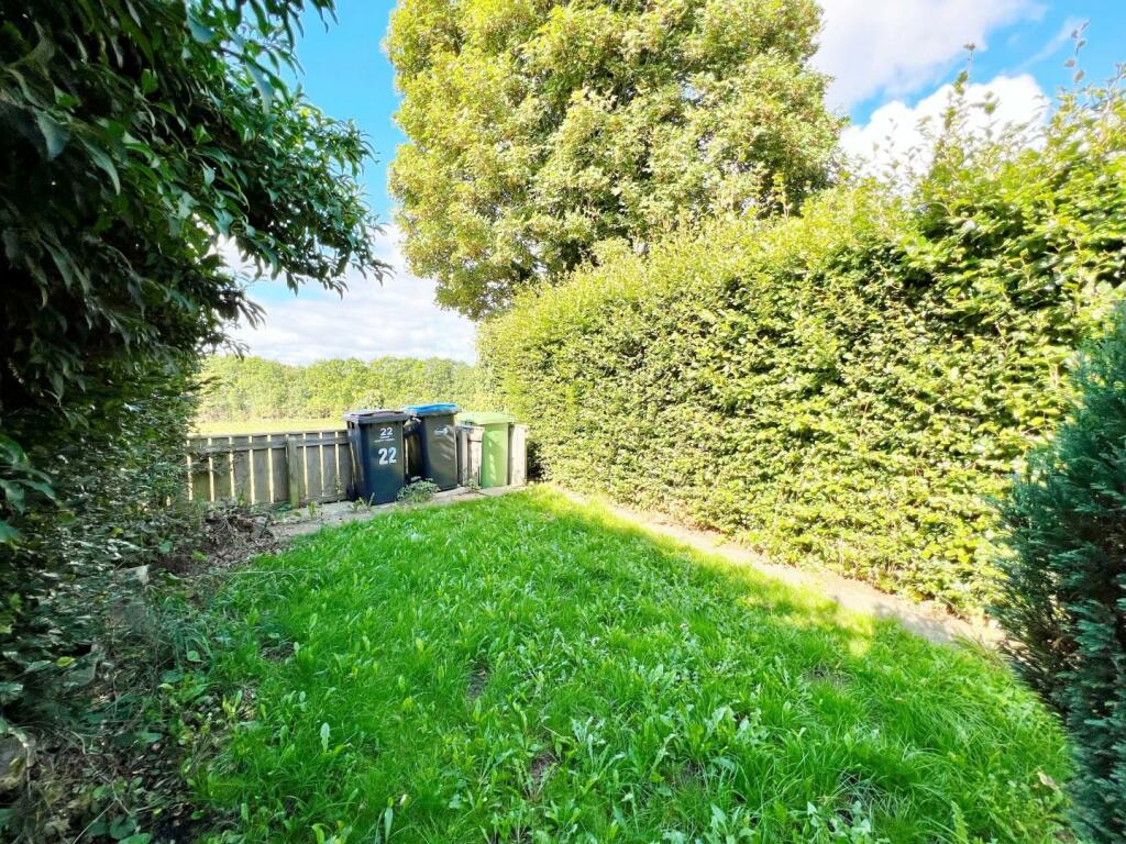 Garden pic 2.jpg