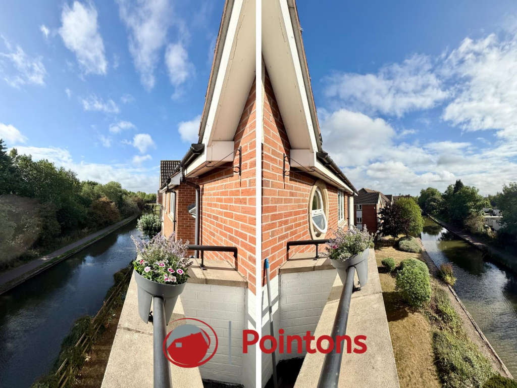 Logo image  (12).png