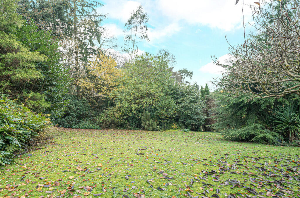 1376562-49-69137d...