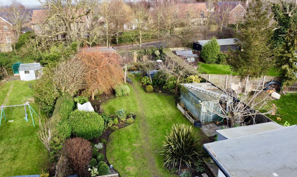 NEW Garden 1