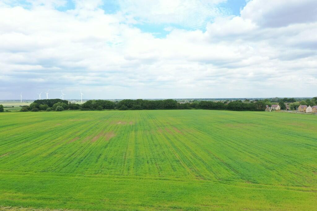 DJI_0519