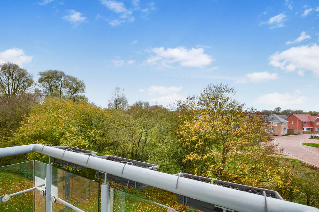 650219_2024112010...