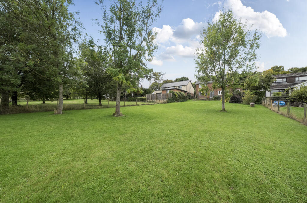 1353638368cbe9d1c9b0b