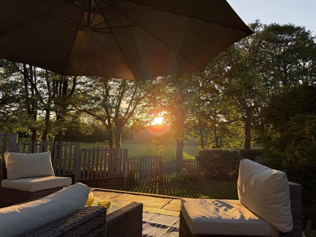 garden2.jpg