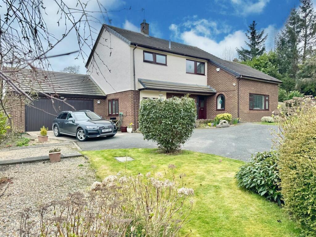 PHOTO-2025-03-17-21-51-03 (26).jpg