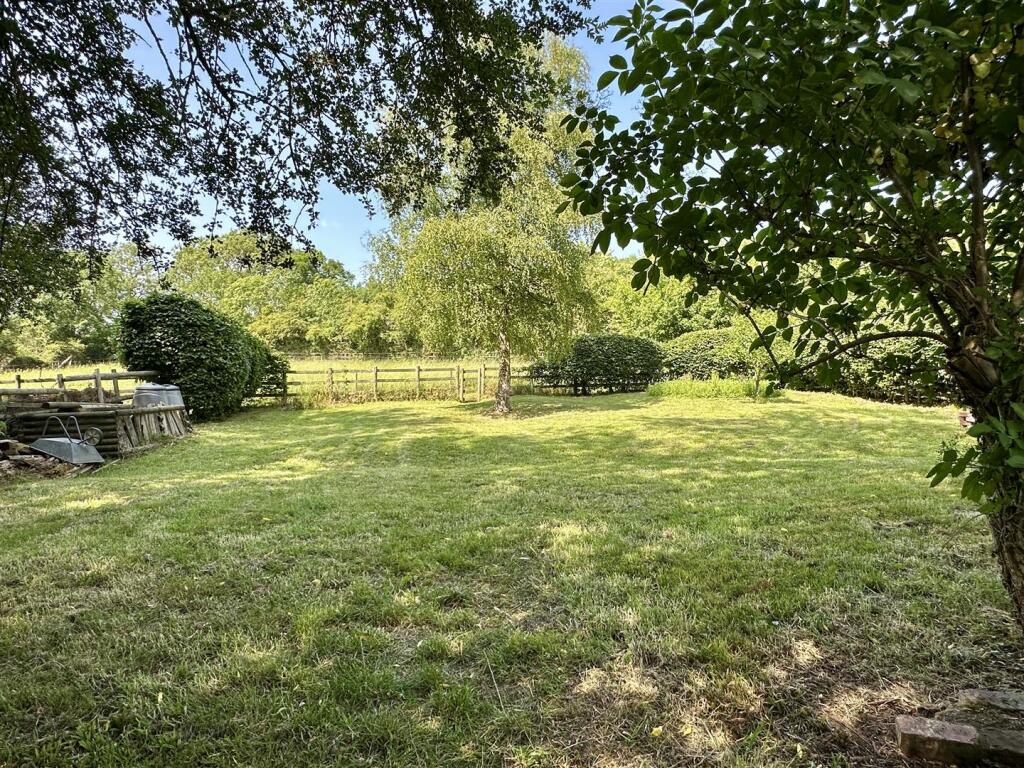 rear garden (beyond brook)