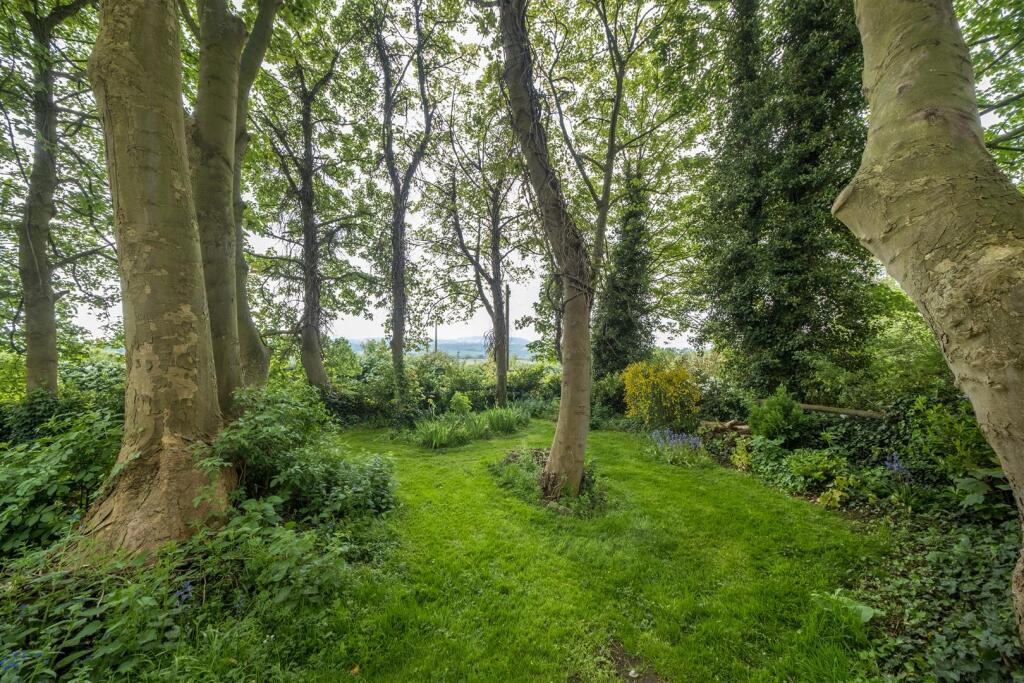 Jasmine Cottage-063.JPG