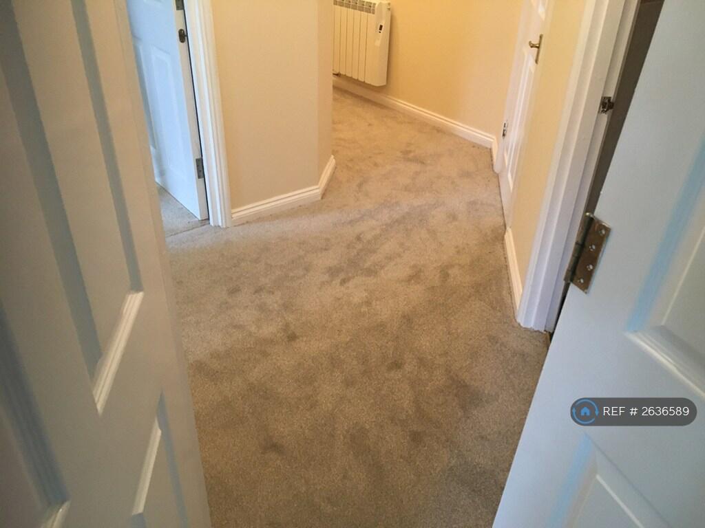 Main Hall Area With Access To Rooms