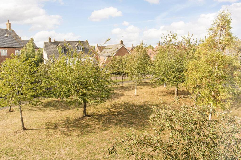 Elevated View Of Green