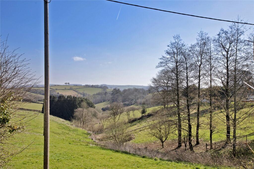 Exe Valley Views