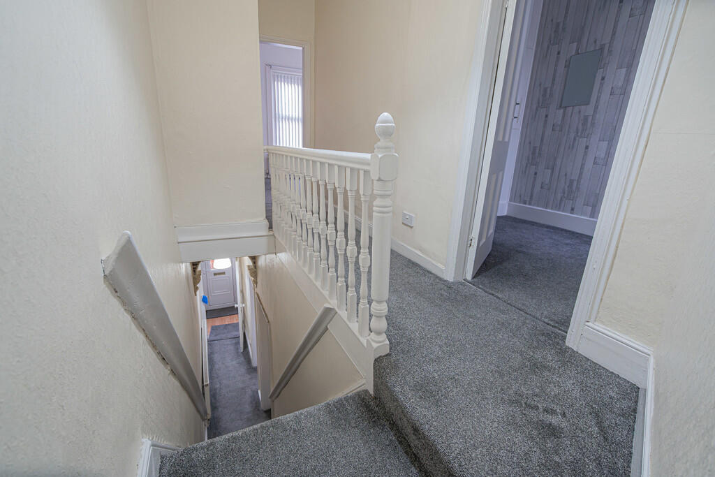 20251126-DSC07293...