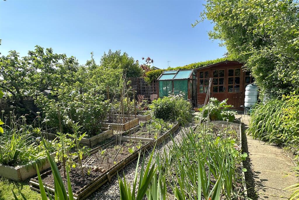 Veg garden.jpg