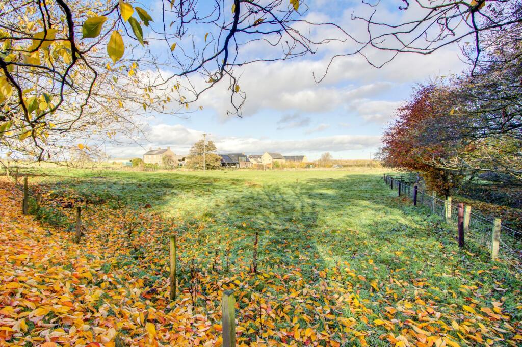 Land