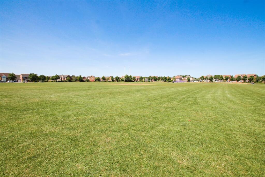 monkston6.JPG
