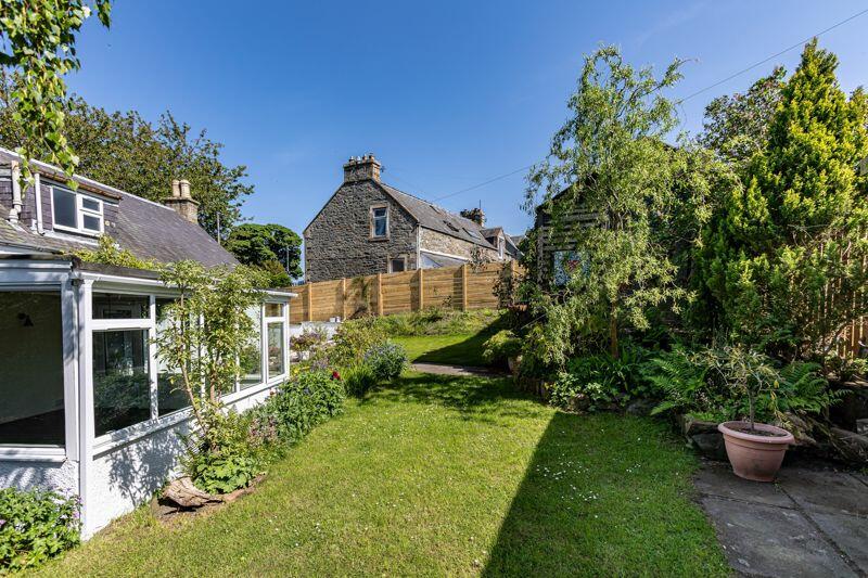 Summer Garden