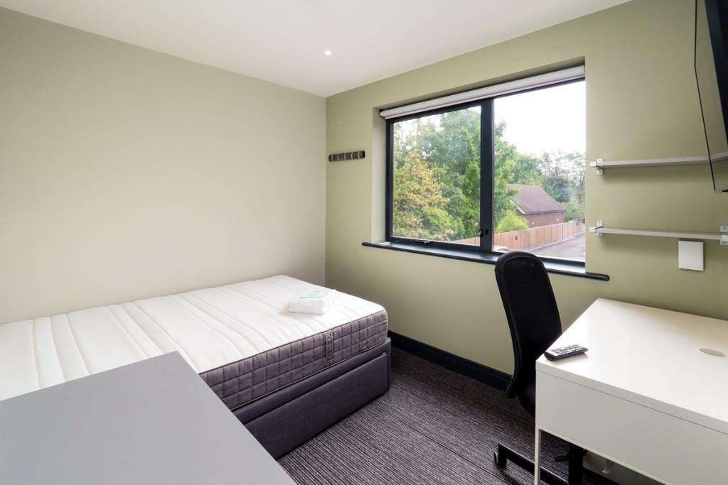 Cedar Luxury 12E