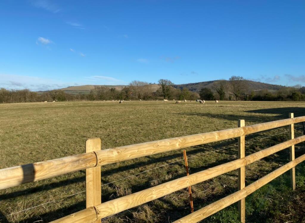 Roundway Hill view from garden.jpeg
